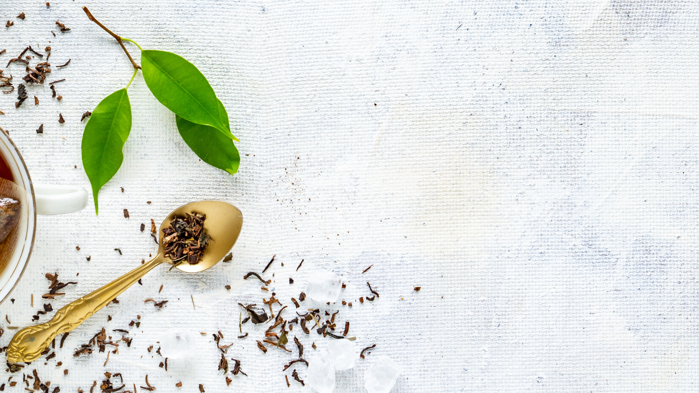 Detoxification according to SVA